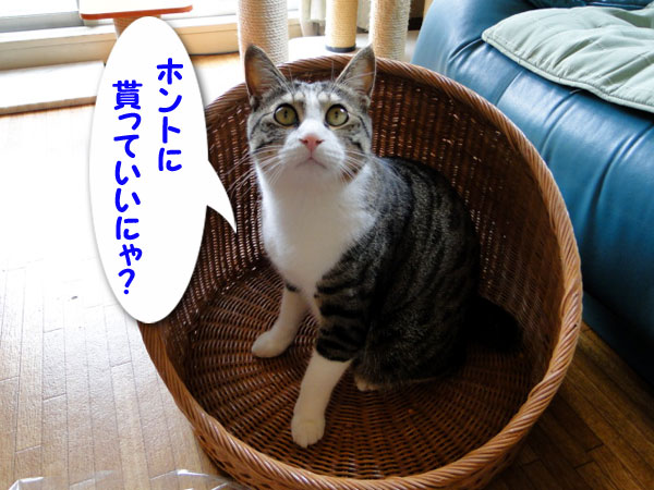 【画像】