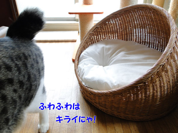 【画像】