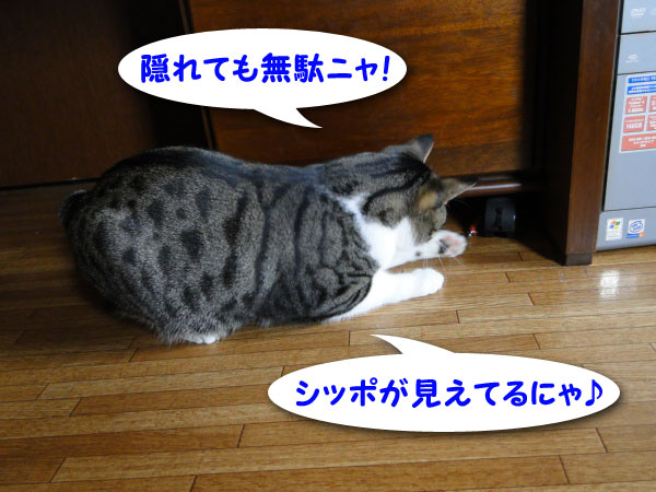 【画像】