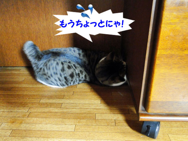 【画像】