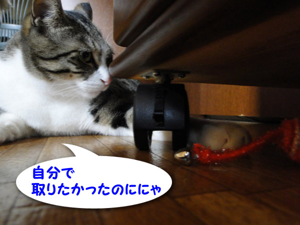 【画像】