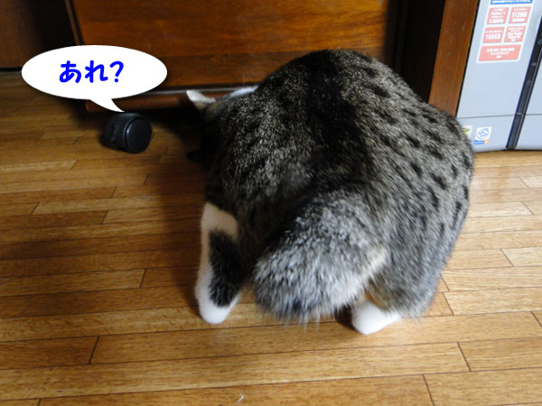 【画像】