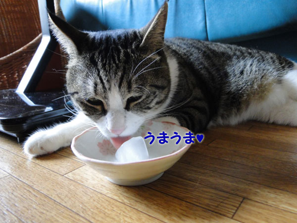 【画像】