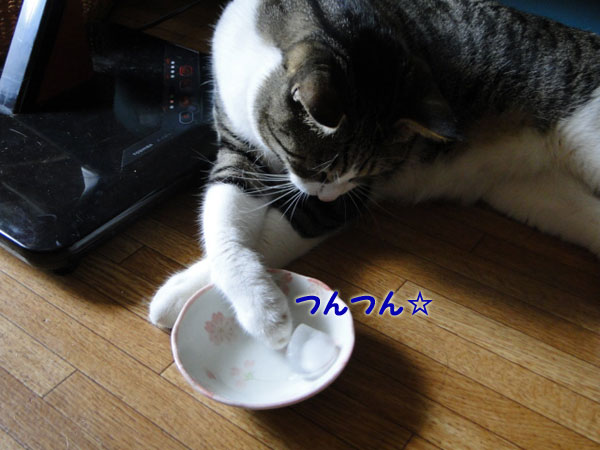 【画像】
