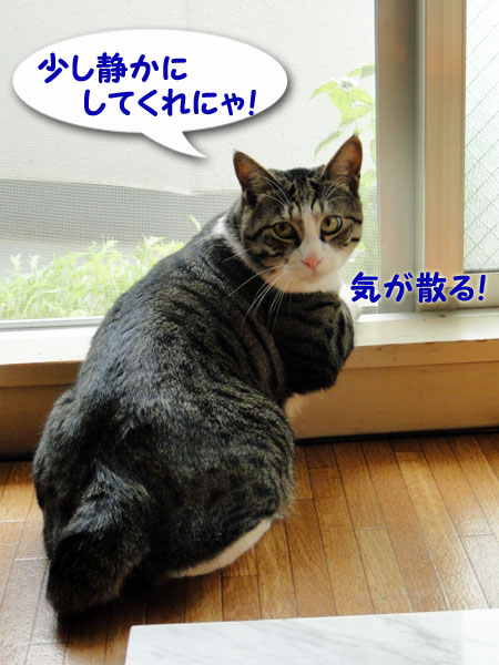 【画像】