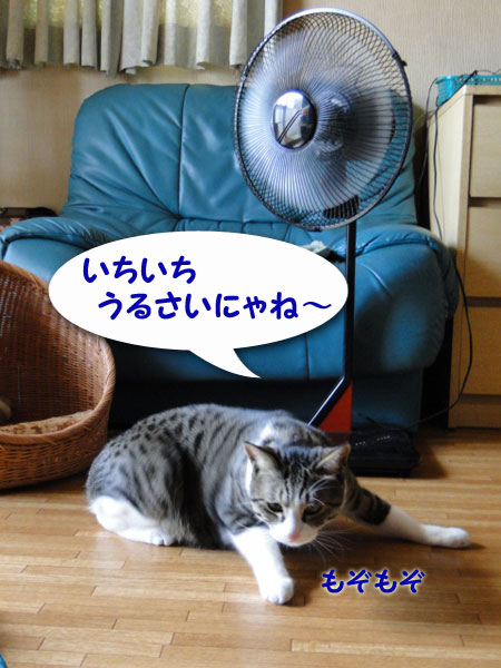 【画像】