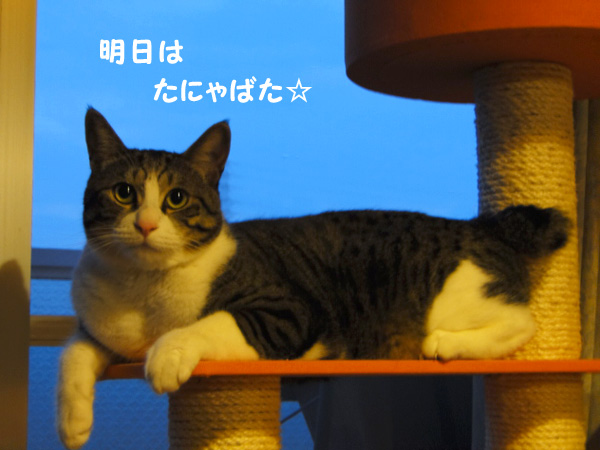 【画像】