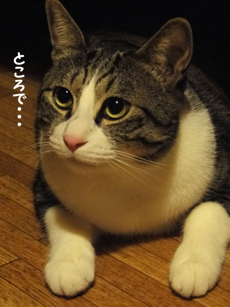 【画像】