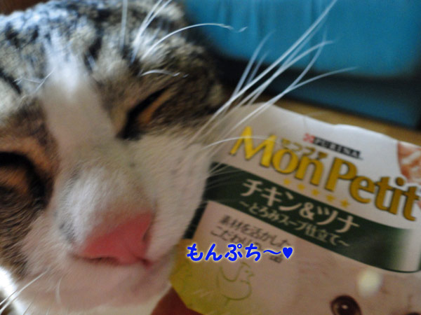 【画像】