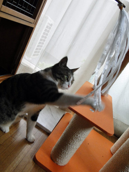 【画像】
