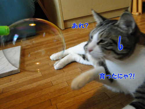 あれ?