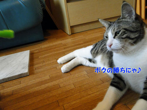 ボクの勝ち♪