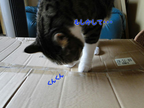 もしかして・・・
