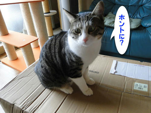 ホントに?