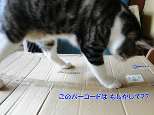 このバーコードは・・・