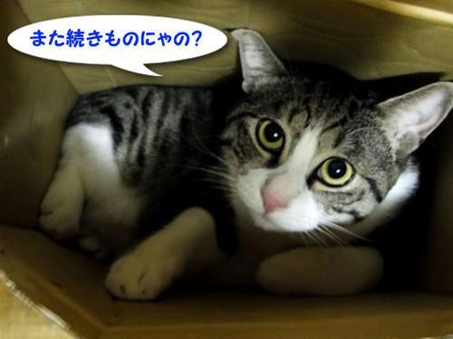 また続きものなの?