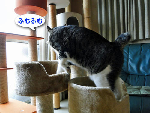 ふむふむ・・・