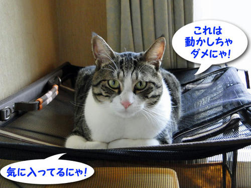 これは動かしちゃダメ!