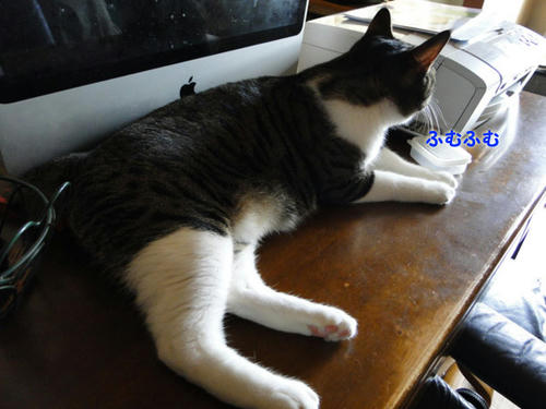 ふむふむ