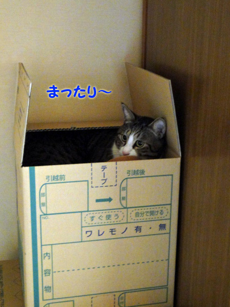 まったり~