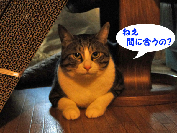 間に合うの?