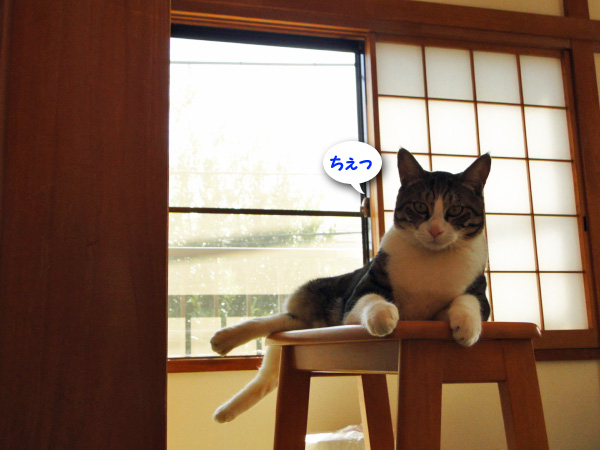 ちぇっ