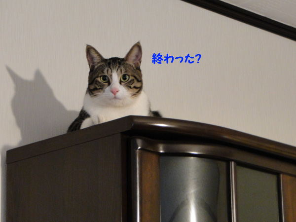 終わった?