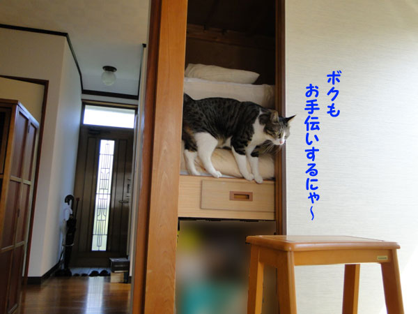 お手伝いする~