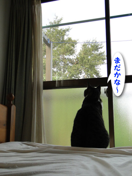 まだかなー