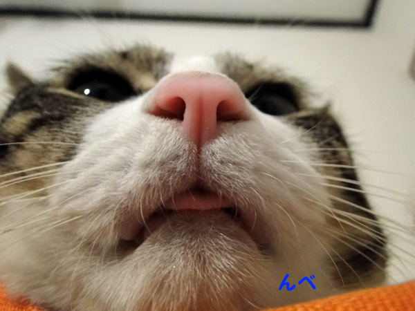 んべ