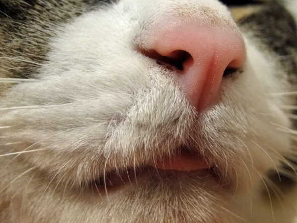 舌出しアップ