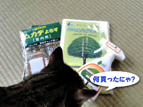 何を買ったにゃ?