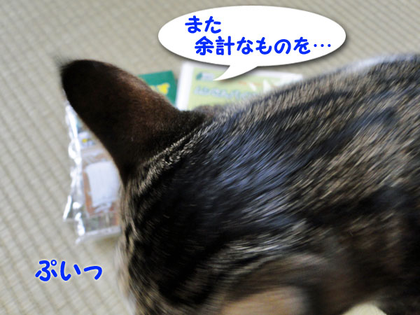余計な事を・・・