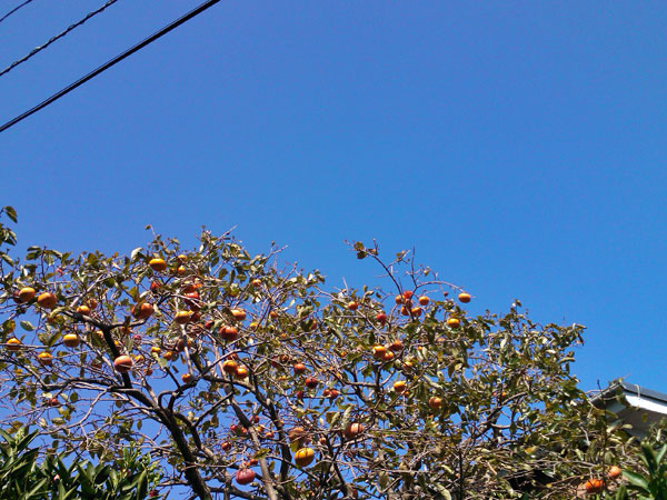 秋空