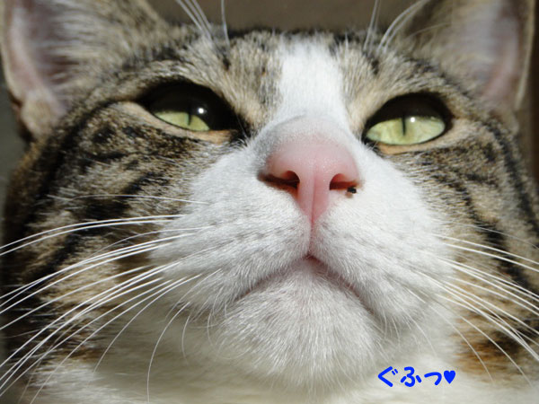 ぐふっ
