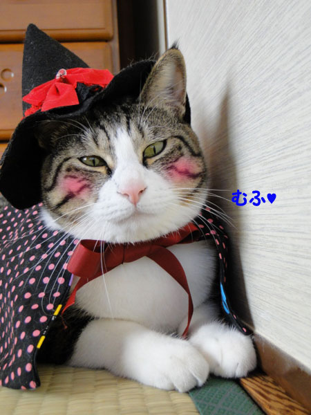 むふっ?