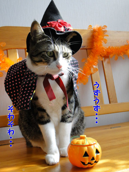 そわそわ・・・