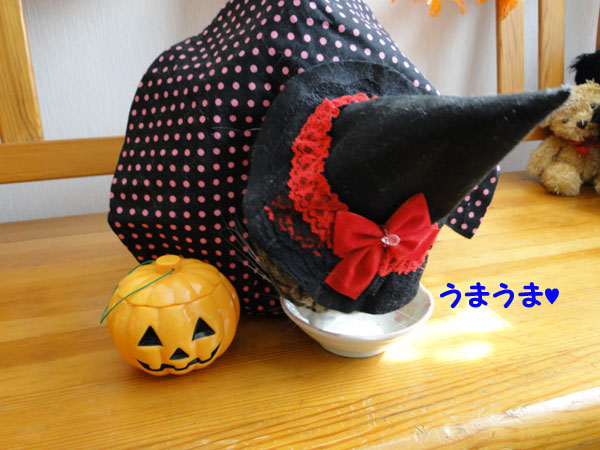 おやつタイム