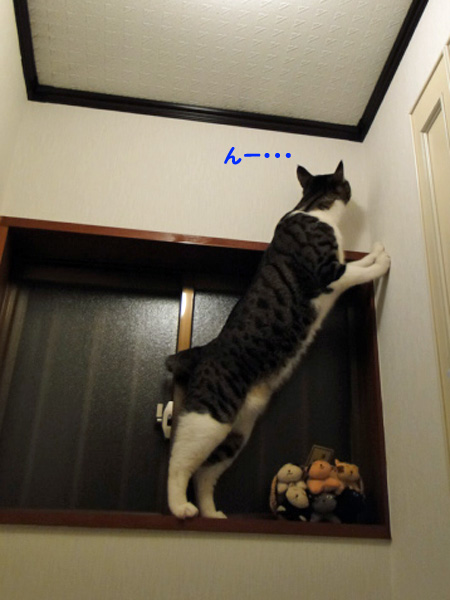 んー・・・