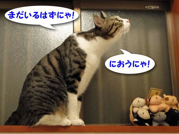 まだいるはずにゃ