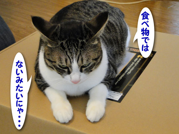 食べ物ではないのか・・・