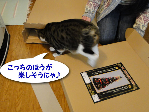 こっちの方が楽しそう