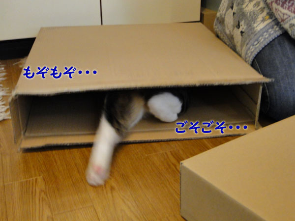 もぞもぞ