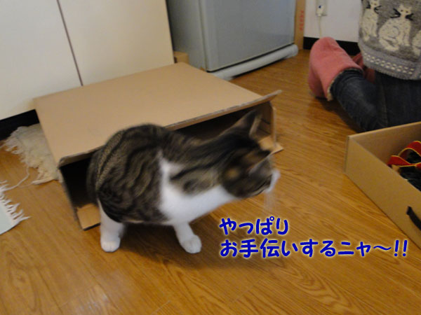 お手伝いする~
