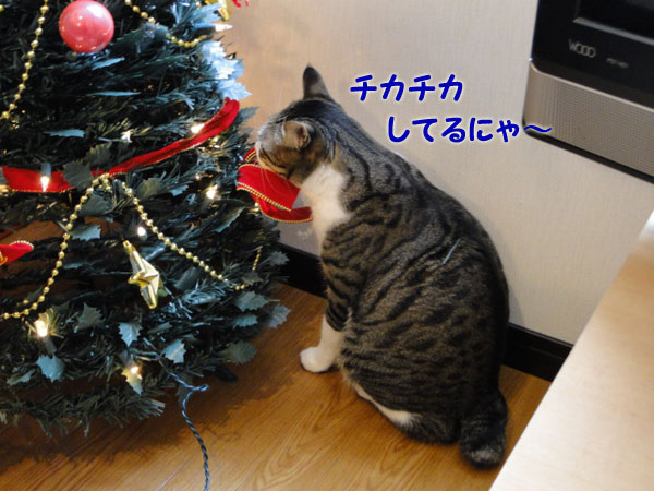 チカチカしてるにゃ