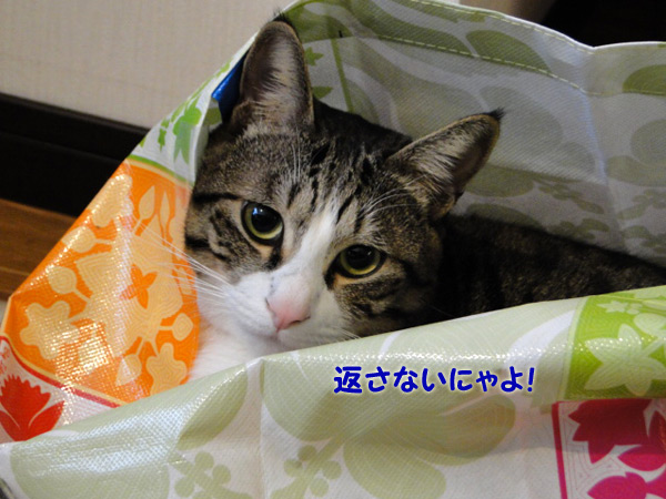 返さないにゃよ