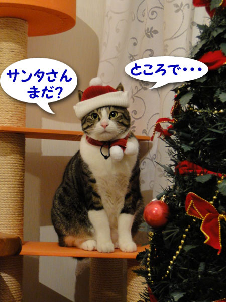 サンタさんはまだ?