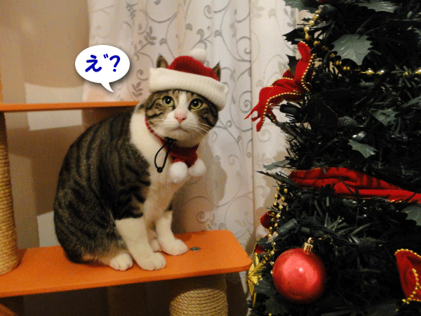 え?