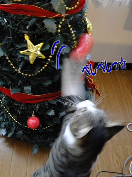 ペシペシ☆