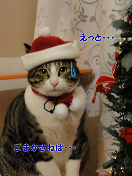 ごまかさねば・・・